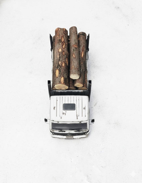 Caminhão Mercedes-Benz 2238 S 6x4 Madeireiro – Escala 1/14 (Controle Remoto)